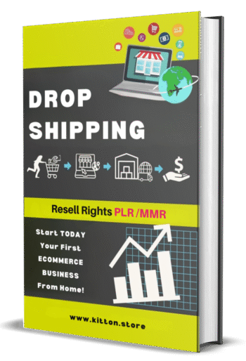 Dropshipping Business Guide - How to Begin Dropshipping